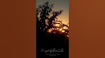 القارئ :عبد الرحمن مسعد(سورة الحج) ❤️