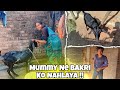 Mummy Ne Bakri Ko Nahlaya 🥰 |