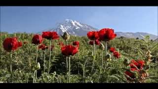 Soroush Izadi فریدون مشیری نیایش