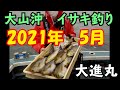 2021年　大山沖　イサキ釣り　【大進丸】 の動画、YouTube動画。