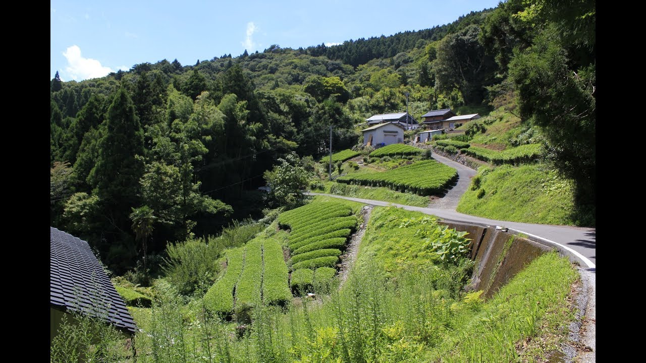【険道★/癒しの風景】高知県道・愛媛県道6号 高知伊予三島線 part 4【郷ノ峰峠】
