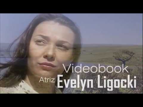 Videobook