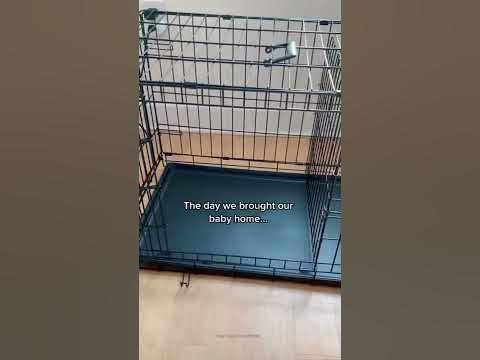 What Dreams are Made Of - YouTube