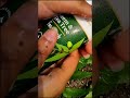 pimple removal Neem face wash