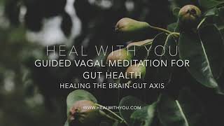 Guided Vagal Healing Meditation for Gut Health | Healing the Brain-Gut Axis screenshot 5