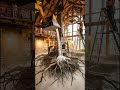 ¡Transformación Asombrosa de Sala! Piso Epóxico que Te Dejará Sin Palabras ✨🏡