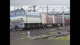 【貨物】3075レを西浜松〜豊橋まで追いかける。EF66(吹)牽引🔔を宜しくねー
