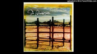 Video thumbnail of "Gin Blossoms - Hey Jealousy [HQ Áudio 320kbps]"