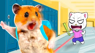 Stop Hamham! Bad Student Hamster Escapes From School - Hamster Toons