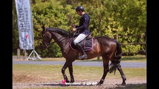 🏆 Notre équipe Grand National CSO - Ecurie de Beauclerc X West Cheval