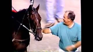 1997 Scioto Downs TRUTHFUL DOUG Scott Mogan