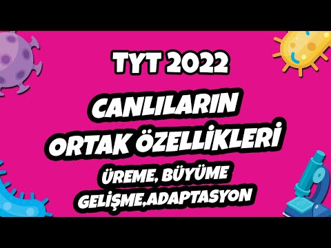 Üreme, Büyüme ve Gelişme, Adaptasyon, Homeostazi | TYT 2022 #hedefekoş