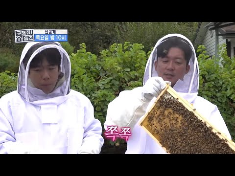 [구해줘! 홈즈 선공개] 마당 가득 윙윙대는 귀요미들🐝 꿀 떨어지는 양봉장의 수익은?, MBC 261015 방송