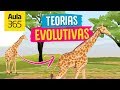 Las Teorías Evolutivas: Darwin y Lamarck | Videos Educativos Aula365