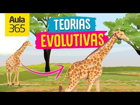 Video: Cómo Explicó Lamarck La Evolución En Plantas Y Animales