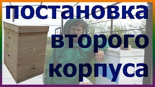 Постановка второго корпуса. Расширение пчелиного гнезда корпусом. Многокорпусное содержание пчел