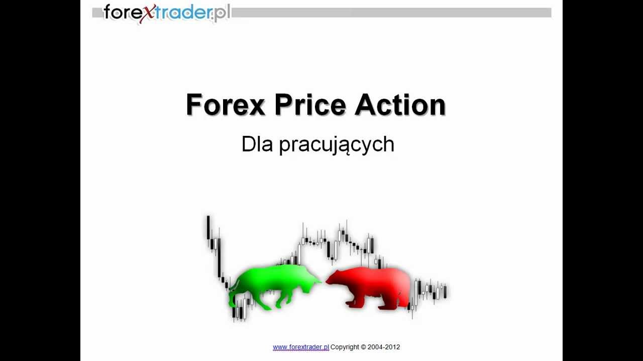 Szkolenia forex dla poczatkujacych