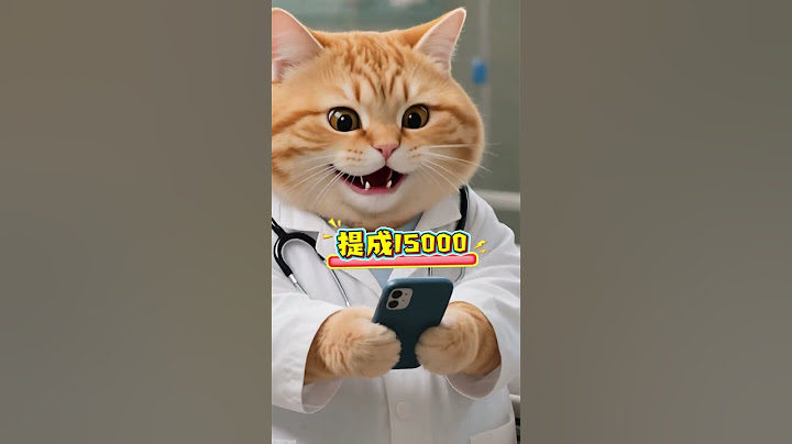 胖橘获得年度盈利冠军！#有趣 #分享 #动物 #猫咪 #狗狗