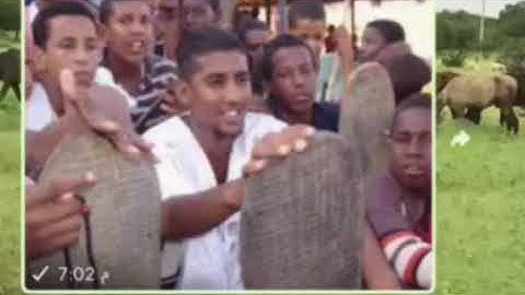 تلاوة موريتانية لا مثيل لها يخشع لها القلب❤