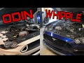 VMP ODIN & GEV 5 WHIPPLE Mustangs Hit the Dyno!