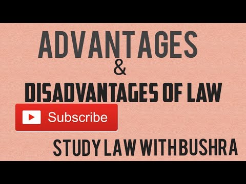 Advantages and Disadvantages of Law I Introduction to Law