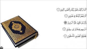 Surah 105 Al Fiil / سورة الفيل