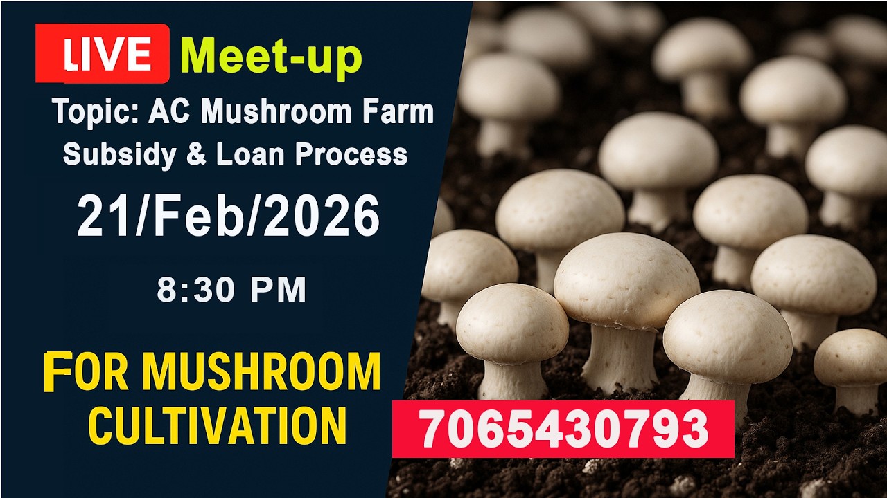 21/02/2026,Topic-AC Mushroom Farm, Subsidy & Loan Process, #mushroomfarming #button #oyster #milky