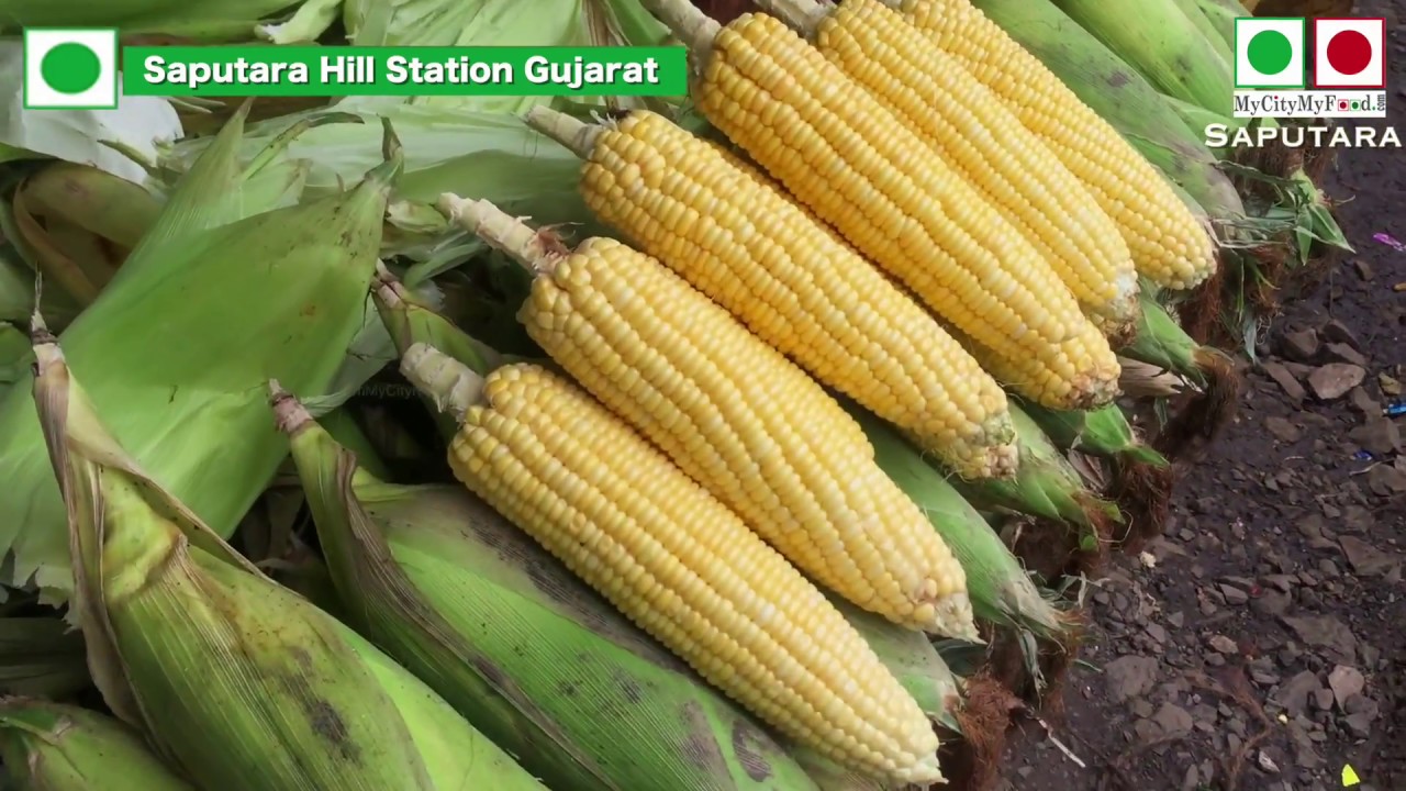 Street FOOD | Salted tasty corns | Tourism | Tourist Place | Tour | Saputara Hill Station - YouTube