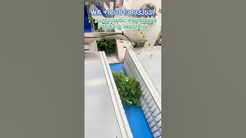 Automatic vegetable sealing packing machine, keep vegetables fruit fresh packing machine. #machine