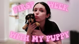 FIRST WEEK WITH MY PUPPY (DOG DIARIES EP 2)