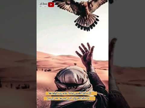 نشيد أيها الطائر ماذا عجبك