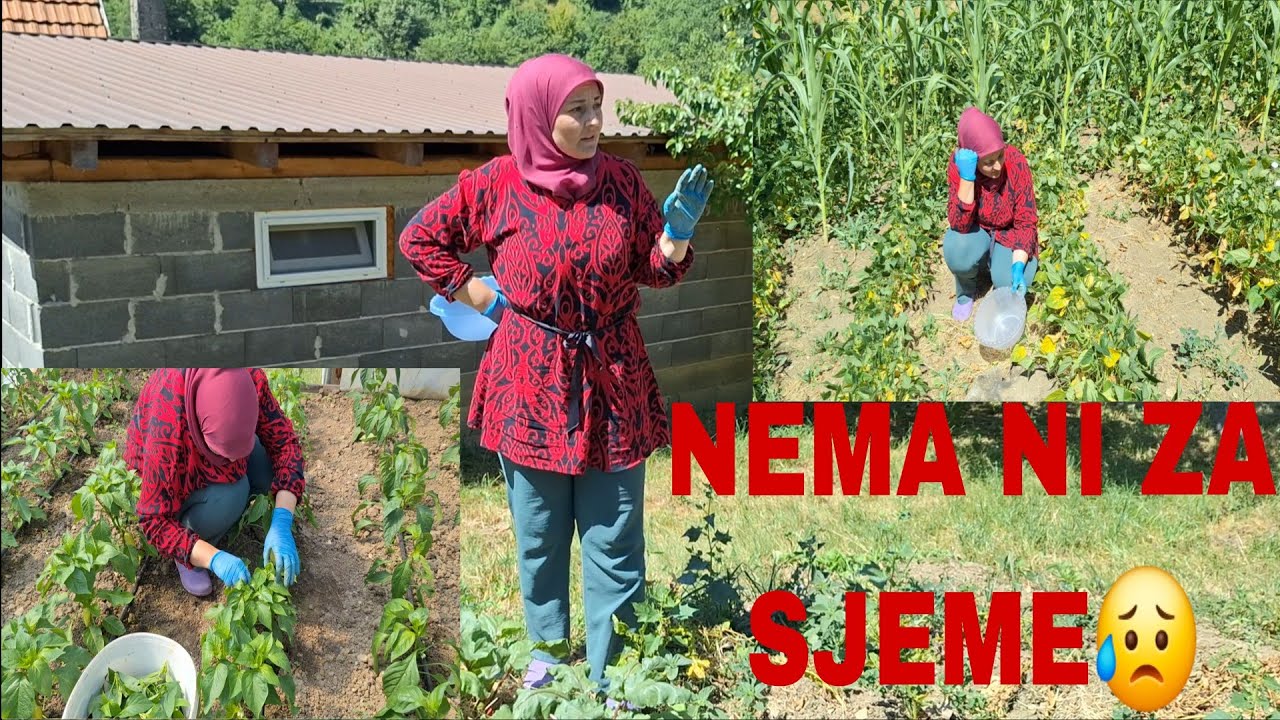 Ni CVATA🌸ni MAHUNE🫛Jedno po jedno PROPADA😥