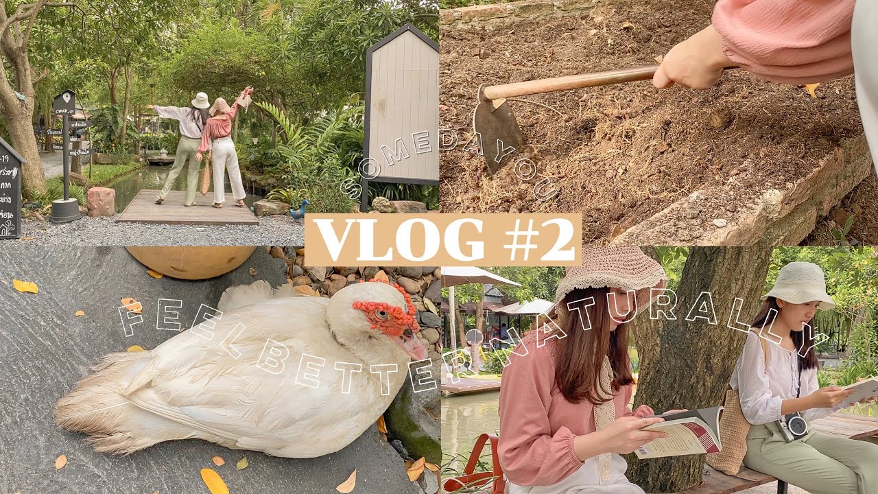 [ENG] My Daily Vlog #2 🌱🧺| อ่านหนังสือ นั่งทำงาน ปั่นจักรยาน ทำสวน | ใช้ชีวิต 1 วัน กับธรรมชาติ