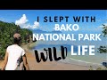 MY WILDEST BORNEO  ADVENTURE | Bako National Park, Kuching