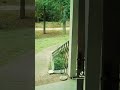 Джин стучал в доме — и всё засняли