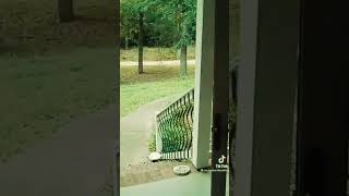Джин стучал в доме — и всё засняли
