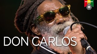 Vignette de la vidéo "Don Carlos Live in Amsterdam 2017"