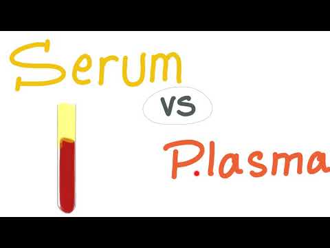 Video: Verschil Tussen Plasma En Serum