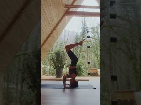 yoga #shorts - YouTube