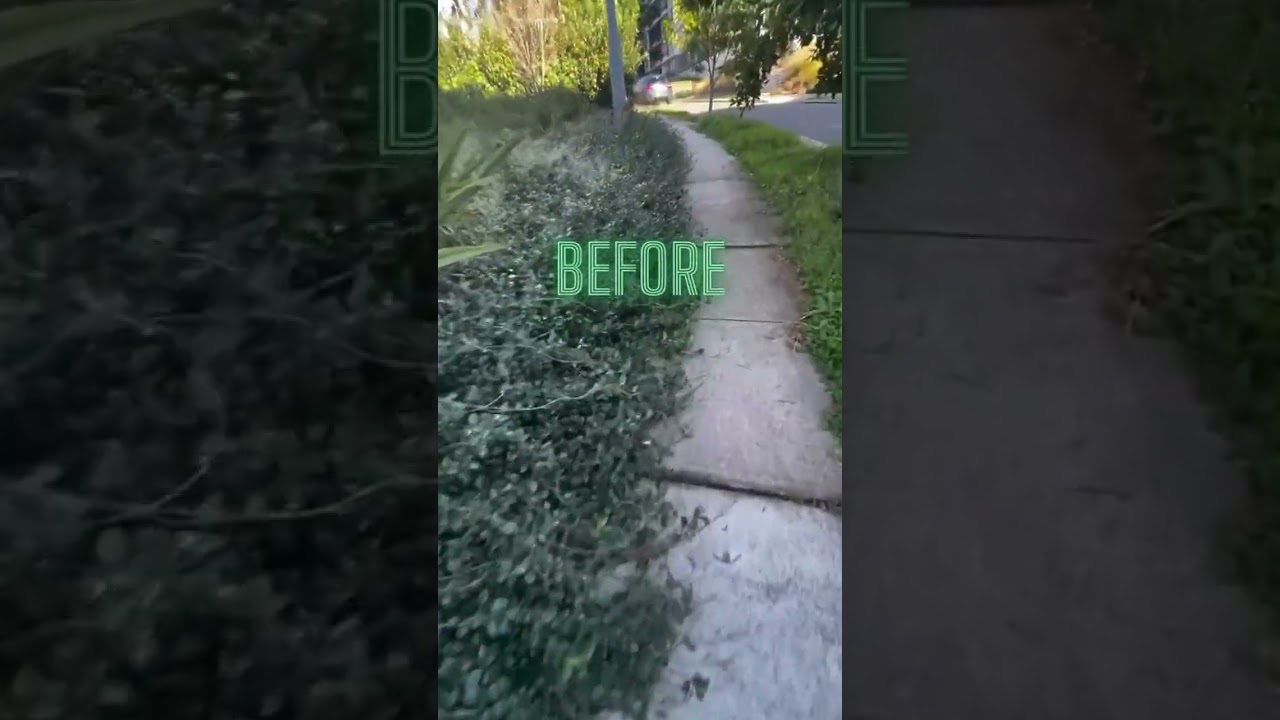 Clear Paths Ahead! Say goodbye to overgrown pathways and hello to beautifully clean walkways! 📞