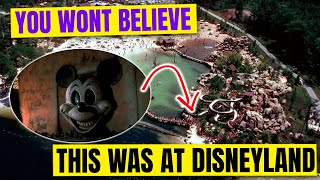 Disney Shuts Down Water Park for Creepy Reason!
