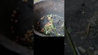 pakan kambing terbaik