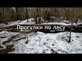 Прогулки по лесу | На макушках горок еще лежит снег.