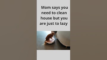 when your to lazy to walk