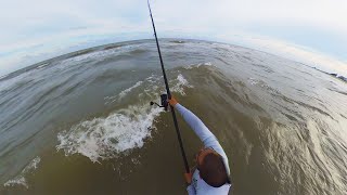 Surf Casting 8 and Bait Pays off BIG TIME