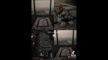 قرآن كريم بصوت القارئ عبد الرحمن مسعد "آية الكرسي 😌🖤