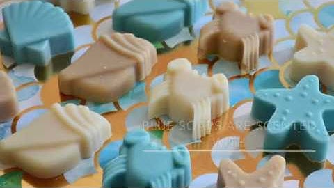 SEASHELL TREASURES~ Making Cold Process Soap