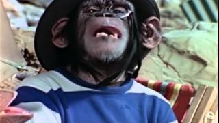 Lancelot Link: Secret Chimp Teaser Video OFFICIAL