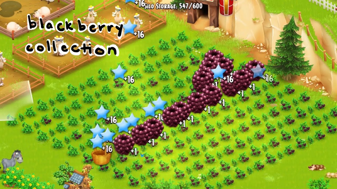 Satisfying Blackberry Collection 💙 Hay Day Gameplay Level 63 YouTube