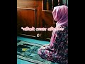 Inshallah Whatsappstatus Shortfeed Inshallah Whatsappstatus Shortfeed